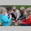 bild28.jpg